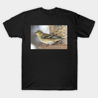 Goldfinch at Feeder No.2 T-Shirt